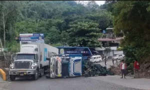 SE DIRIGÍA DE SATIPO A LIMA: CAMIÓN CON CARGA DE PIÑAS SUFRE VOLCADURA