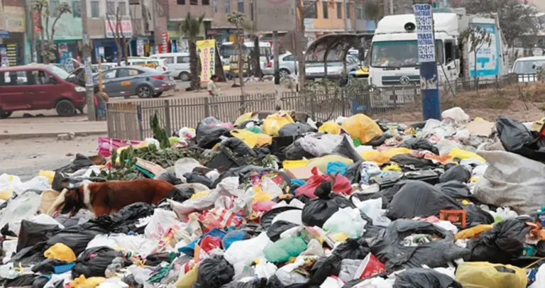 SEGÚN EL MINAM: EL TAMBO ENTRE LAS CIUDADES CON ACUMULACIÓN DE RESIDUOS SÓLIDOS