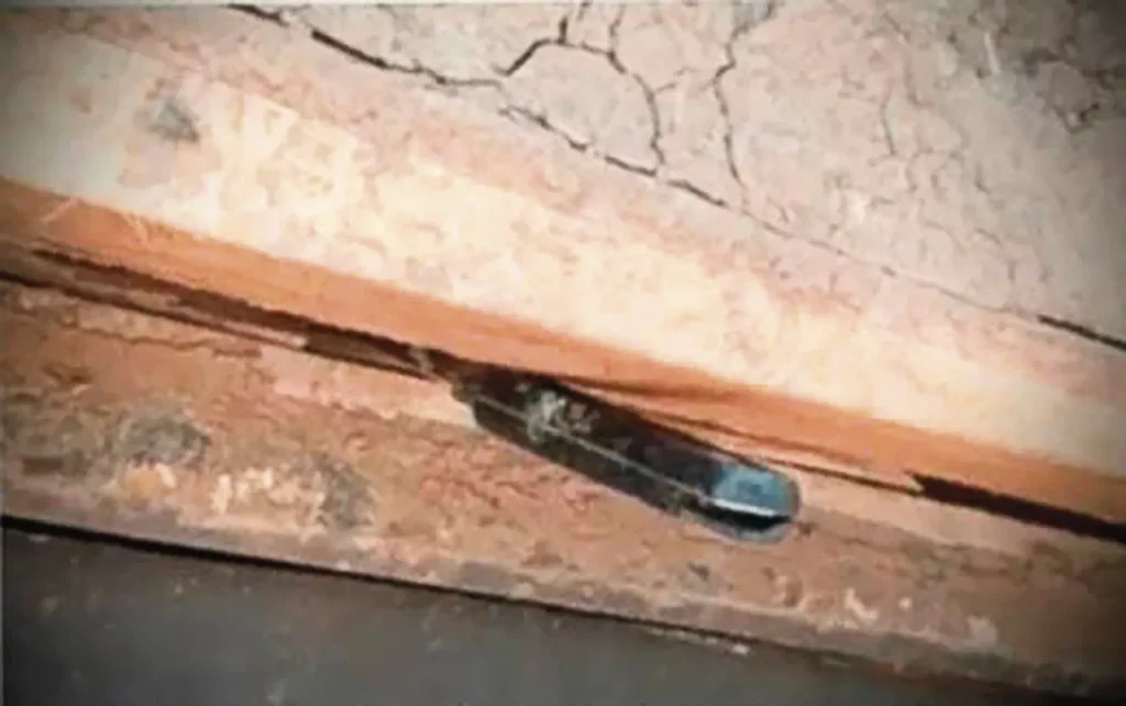 ENCUENTRAN “CUCHILLO”: HABRÍAN UTILIZADO PARA ATACAR A JOVEN MADRE