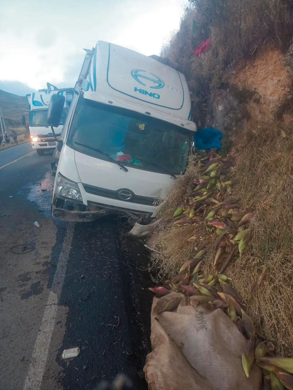 CUATRO HERIDOS EN LOMO LARGO: CHOFER PIERDE CONTROL DE CAMIÓN EN PLENA BAJADA