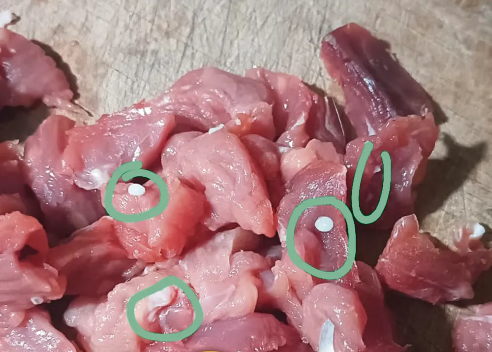 CHAUPIMARCA: DENUNCIAN VENTA DE CARNE MALOGRADA