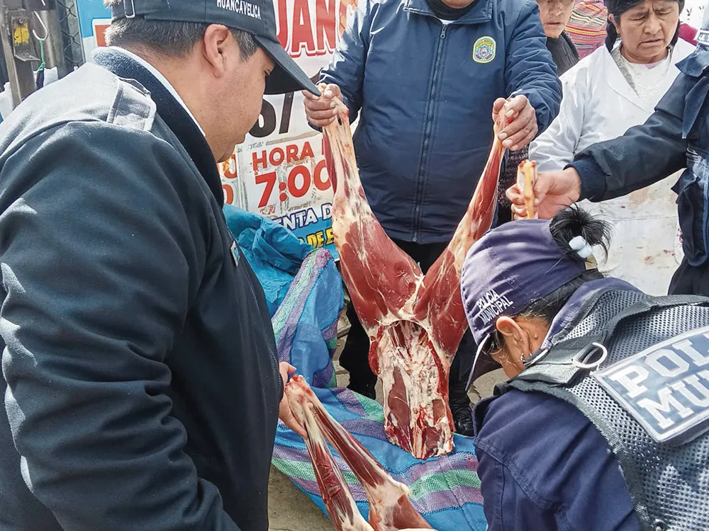 HUANCAVELICA: DECOMISAN CARNE EN CONDICIONES INSALUBRES