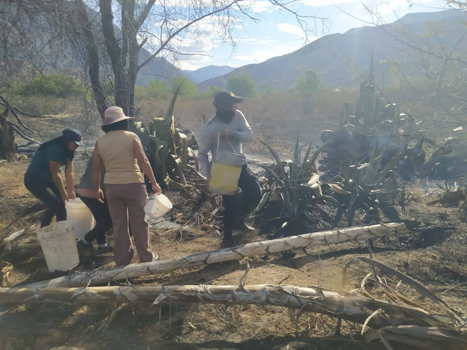 SAN MIGUEL DE MAYOCC: APAGAN INCENDIO FORESTAL CON BALDES DE AGUA