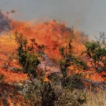 EN ANTA ACOBAMBA: FUEGO DESTRUYE 30 HAS. DE VEGETACIÓN