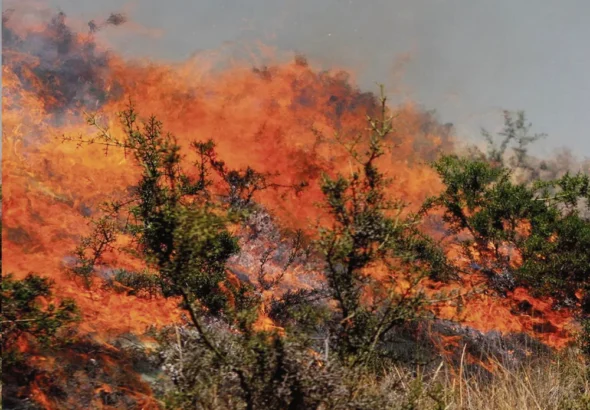 EN ANTA ACOBAMBA: FUEGO DESTRUYE 30 HAS. DE VEGETACIÓN