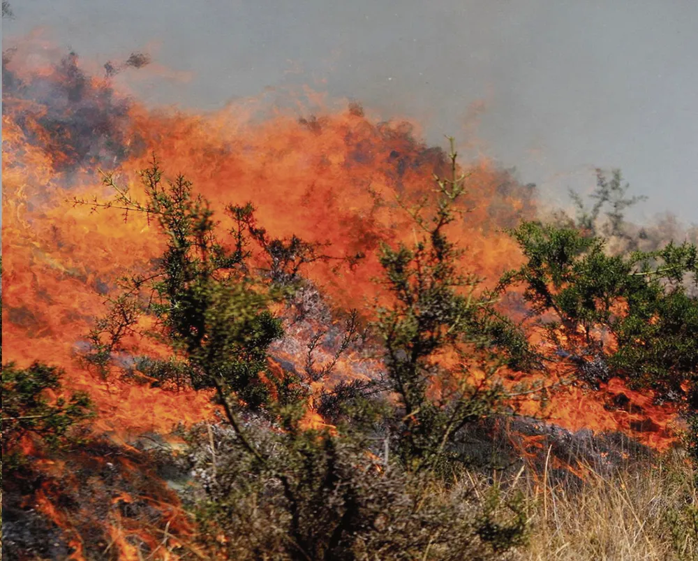 EN ANTA ACOBAMBA: FUEGO DESTRUYE 30 HAS. DE VEGETACIÓN