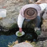 HUANCAVELICA: TRECE DISTRITOS DECLARADOS EN EMERGENCIA POR SEQUÍA