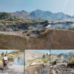 SAN PEDRO DE PILLAO: VORAZ INCENDIO FORESTAL DESTRUYE 05 HECTÁREAS