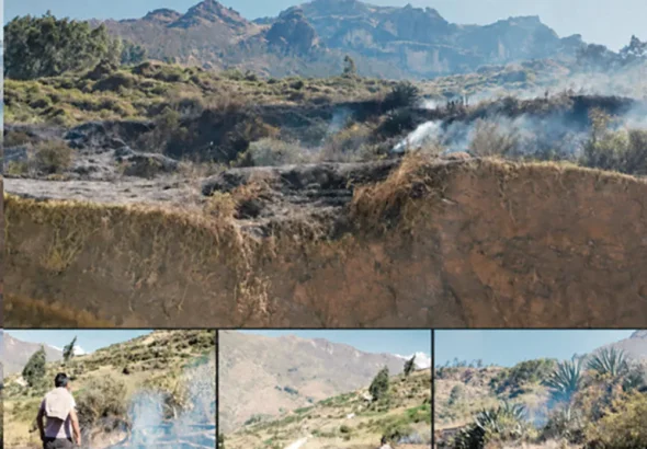 SAN PEDRO DE PILLAO: VORAZ INCENDIO FORESTAL DESTRUYE 05 HECTÁREAS