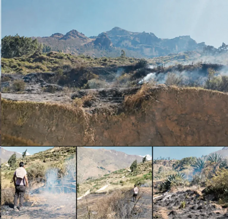 SAN PEDRO DE PILLAO: VORAZ INCENDIO FORESTAL DESTRUYE 05 HECTÁREAS