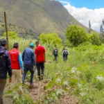 8-2-