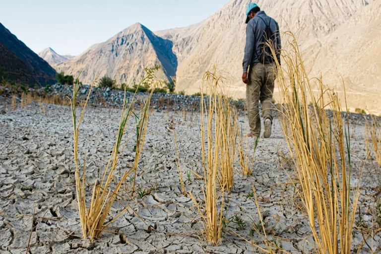 HUANCAVELICA: UNOS 58 DISTRITOS EN RIESGO POR SEQUÍA