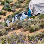 SAN PEDRO DE OCOBAMBA: EXIGEN INVESTIGACIÓN POR DERRAME DE CIANURO 