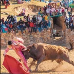 EN PANTACHI SUR: TORO DEJA GRAVE A TORERO EN CORRIDA