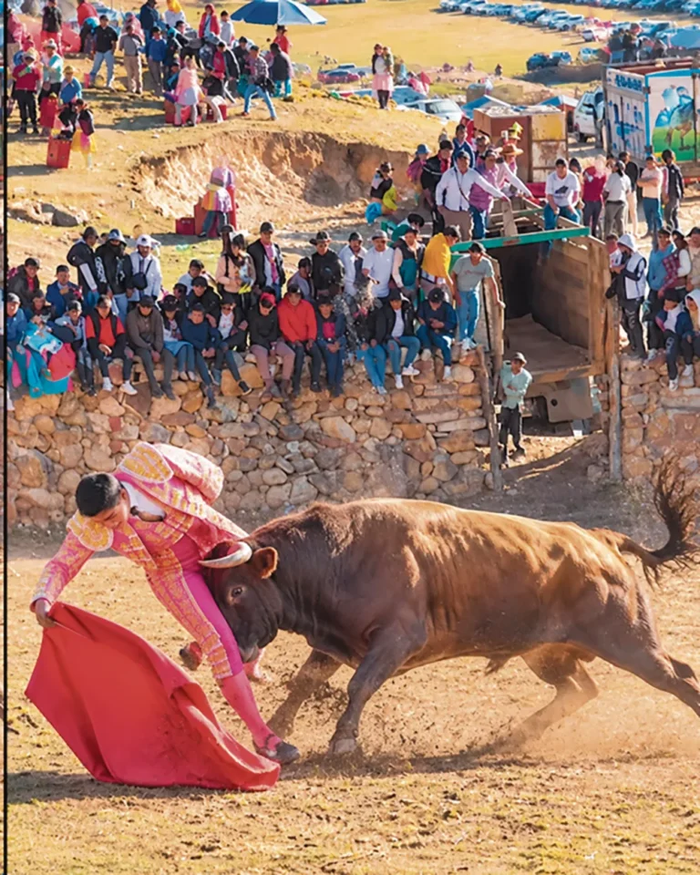 EN PANTACHI SUR: TORO DEJA GRAVE A TORERO EN CORRIDA