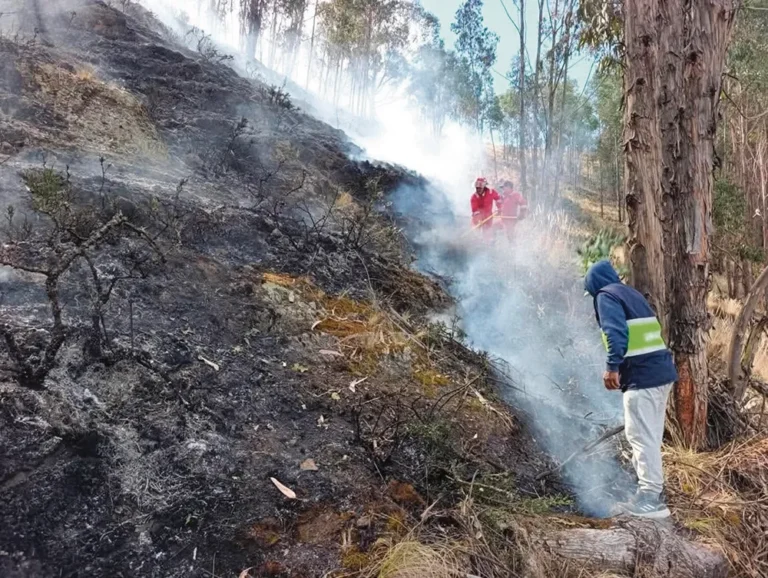 BOMBEROS, SERENAZGO Y VECINOS: SOFOCAN VORAZ INCENDIO EN PANCÁN-JAUJA