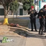 AMENAZA EN JUNÍN: DEJAN CABEZA CERCENADA DE PERRO Y MENSAJE INTIMIDATORIO CONTRA CANDIDATO