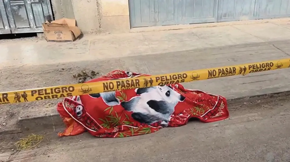 TRAGEDIA FAMILIAR: ADOLESCENTE DE 15 AÑOS FALLECE TRAS CAER DEL TERCER PISO, CHILCA