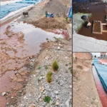 NINACACA: CAMALES CLANDESTINOS CREAN FOCO INFECCIOSO