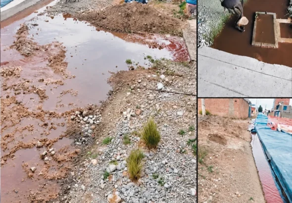 NINACACA: CAMALES CLANDESTINOS CREAN FOCO INFECCIOSO