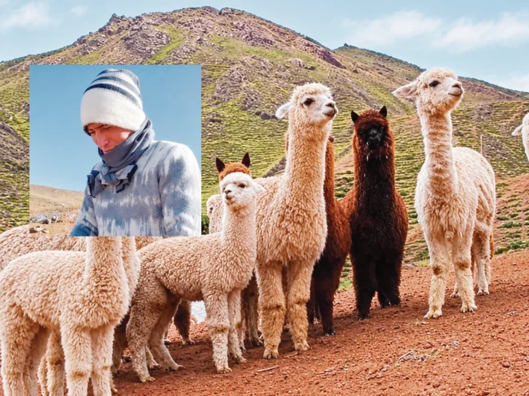 HISCOCANCHA: PASTOR CONFIESA ROBO DE 40 ANIMALES VÍA WHATSAPP