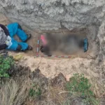 HUANCAVELICA: HALLAN RESTOS ÓSEOS DE PERSONAS DESAPARECIDAS