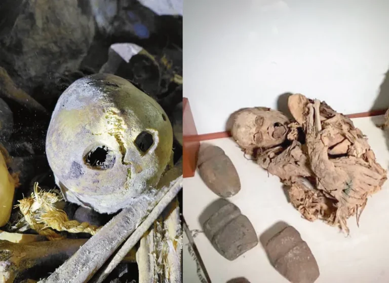 DURANTE INSPECCIÓN: HALLAN RESTOS HUMANOS MOMIFICADOS EN ANTA