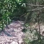 INGENIERO GEOMECÁNICO GRAVE: CAMIONETA DE CONTRATISTA CAE AL RÍO PUNTAYACU: VITOC
