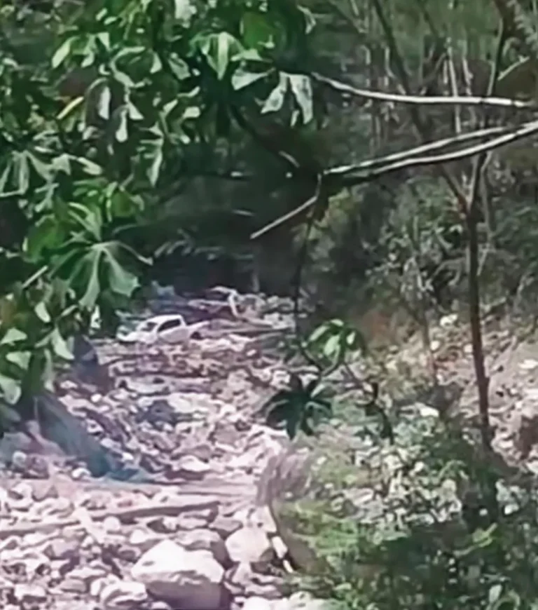 INGENIERO GEOMECÁNICO GRAVE: CAMIONETA DE CONTRATISTA CAE AL RÍO PUNTAYACU: VITOC