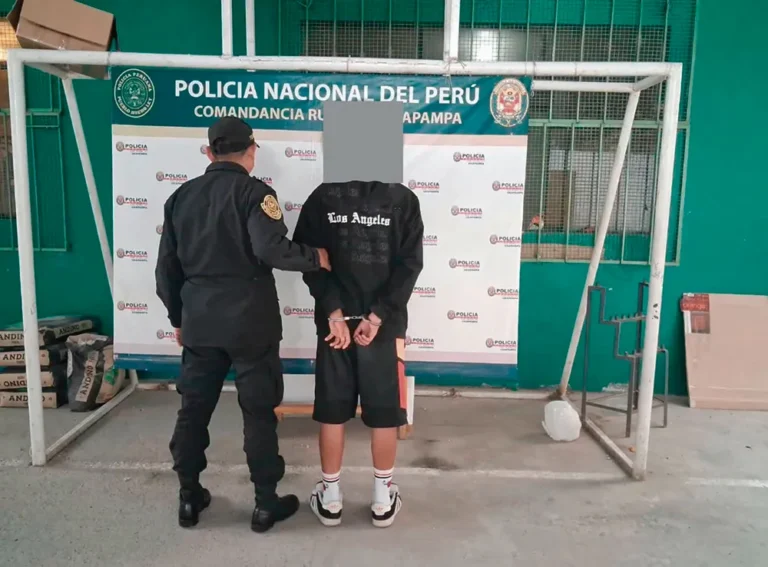 OXAPAMPA: MENOR DETENIDO POR ULTRAJE A OTRA MENOR